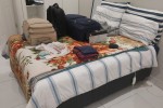 1 bedroom flat move