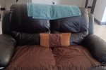3 bedroom house move