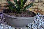 Garden pots with plants, bird cage, barrel, wheel barrow
