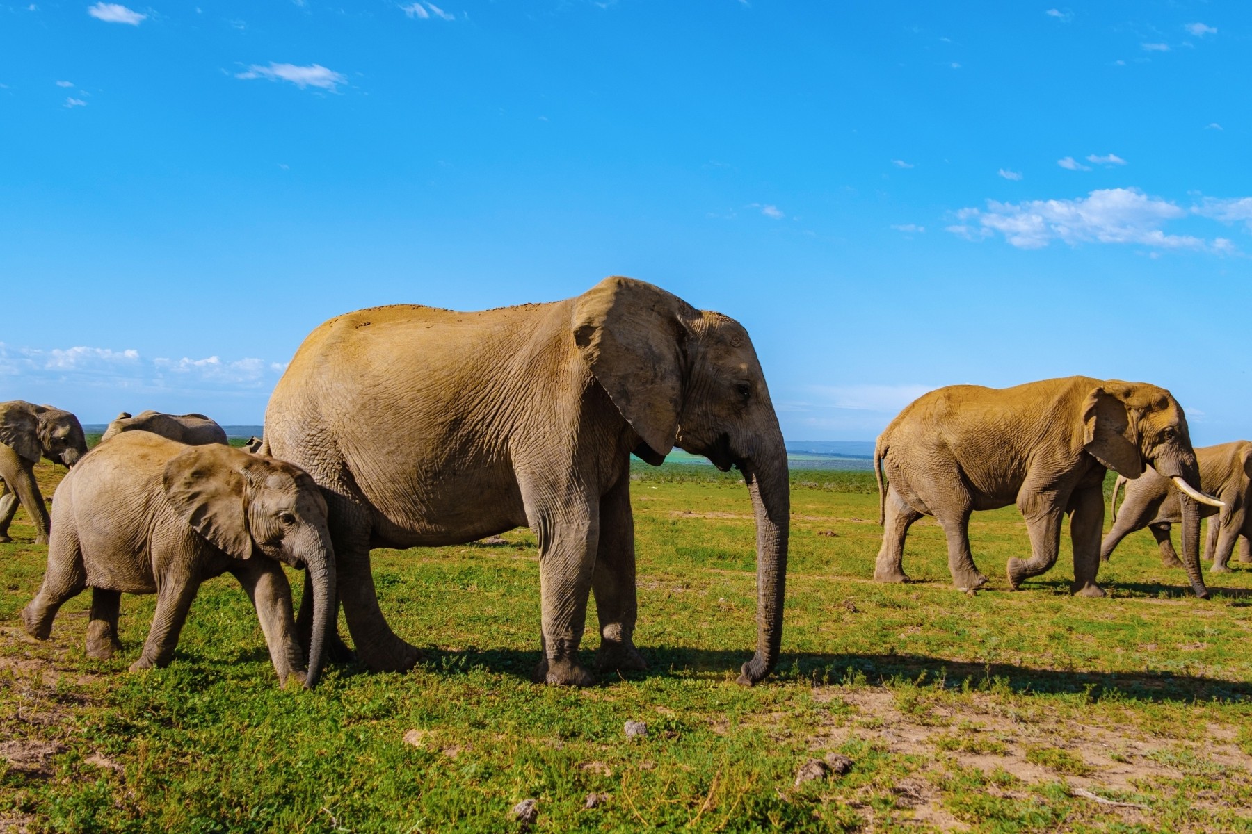 Nature in Port Elizabeth