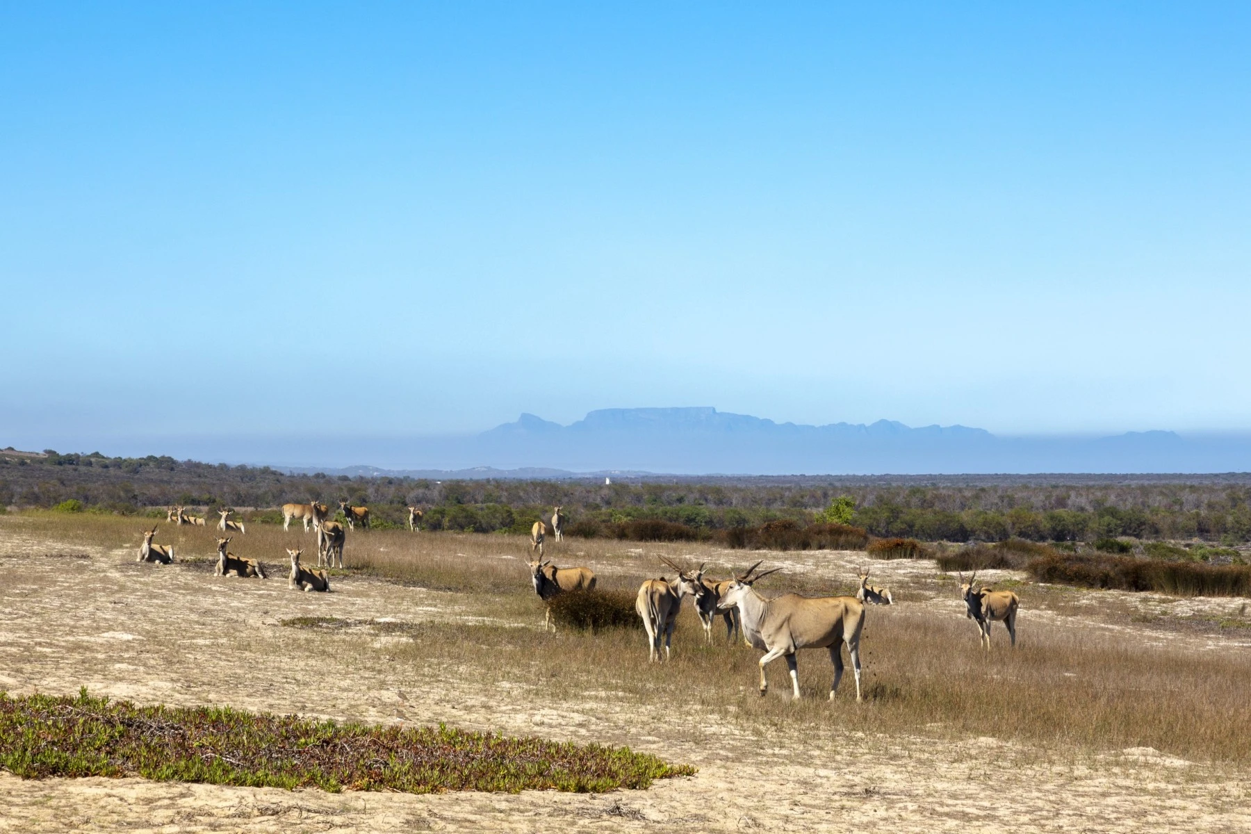  !Khwa ttu, Western Cape