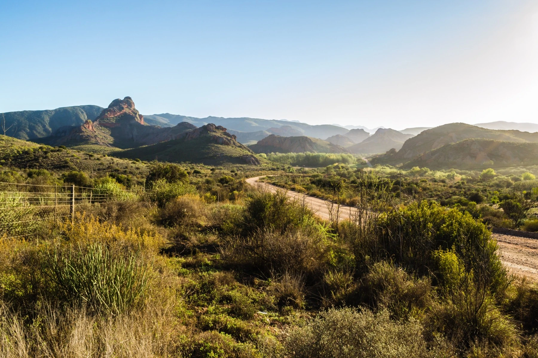 Route 62 South Africa Road Trip