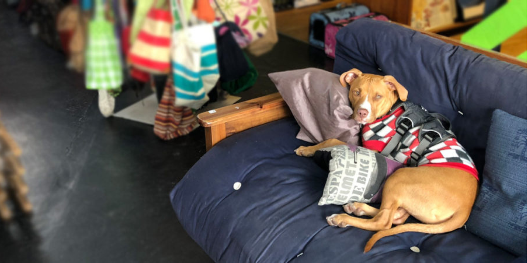 TEARS - Donating Furniture in Cape Town