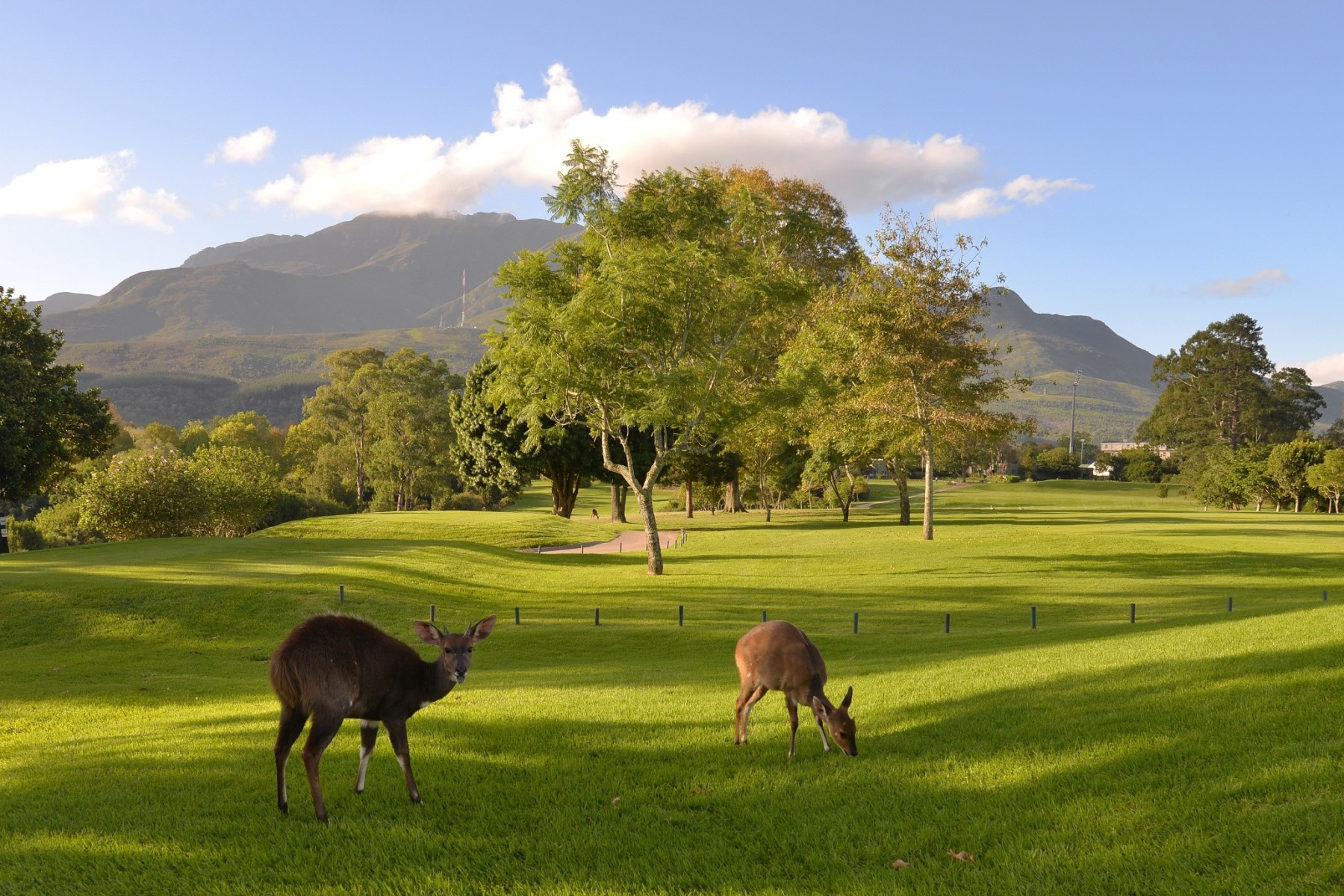 Cost of playing golf in George