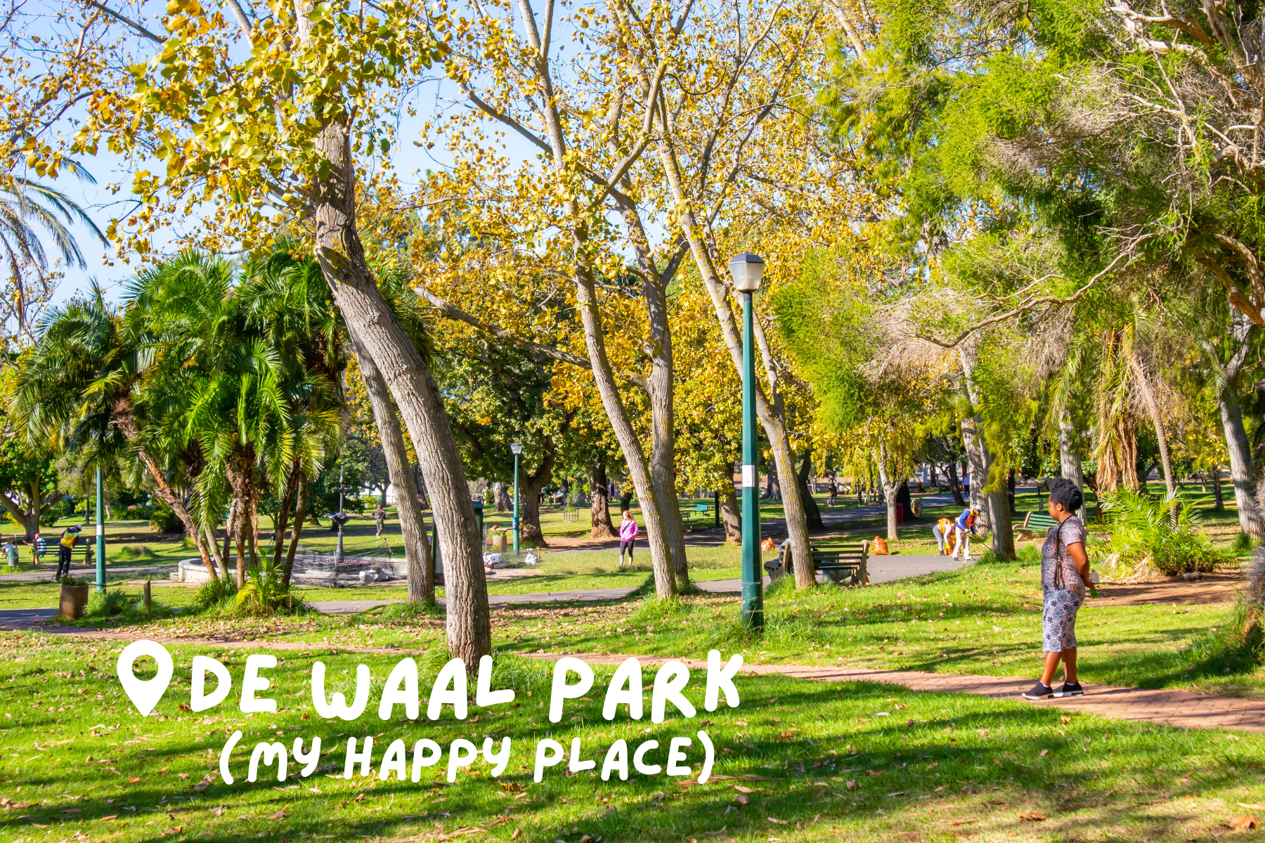 sunny day in De Waal Park in Cape Town with people walking their dogs