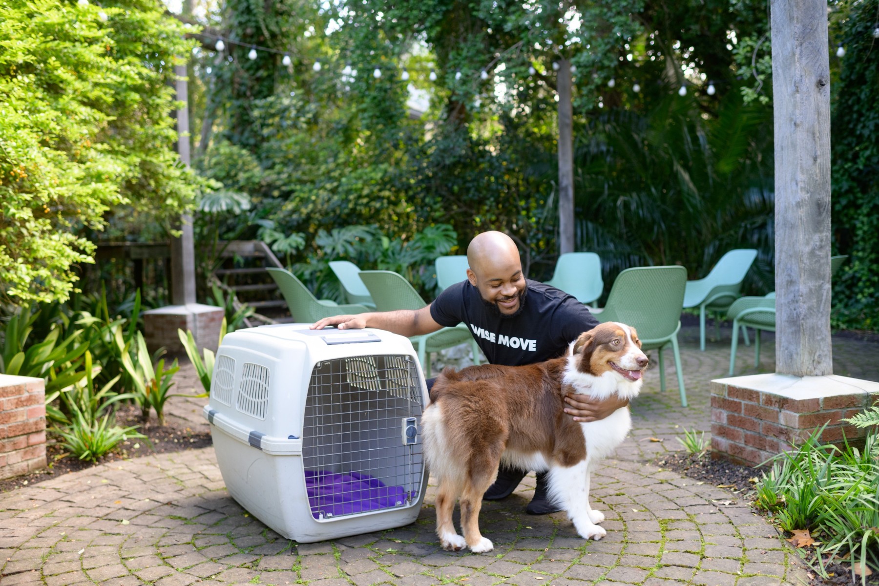 Moving with pets South Africa