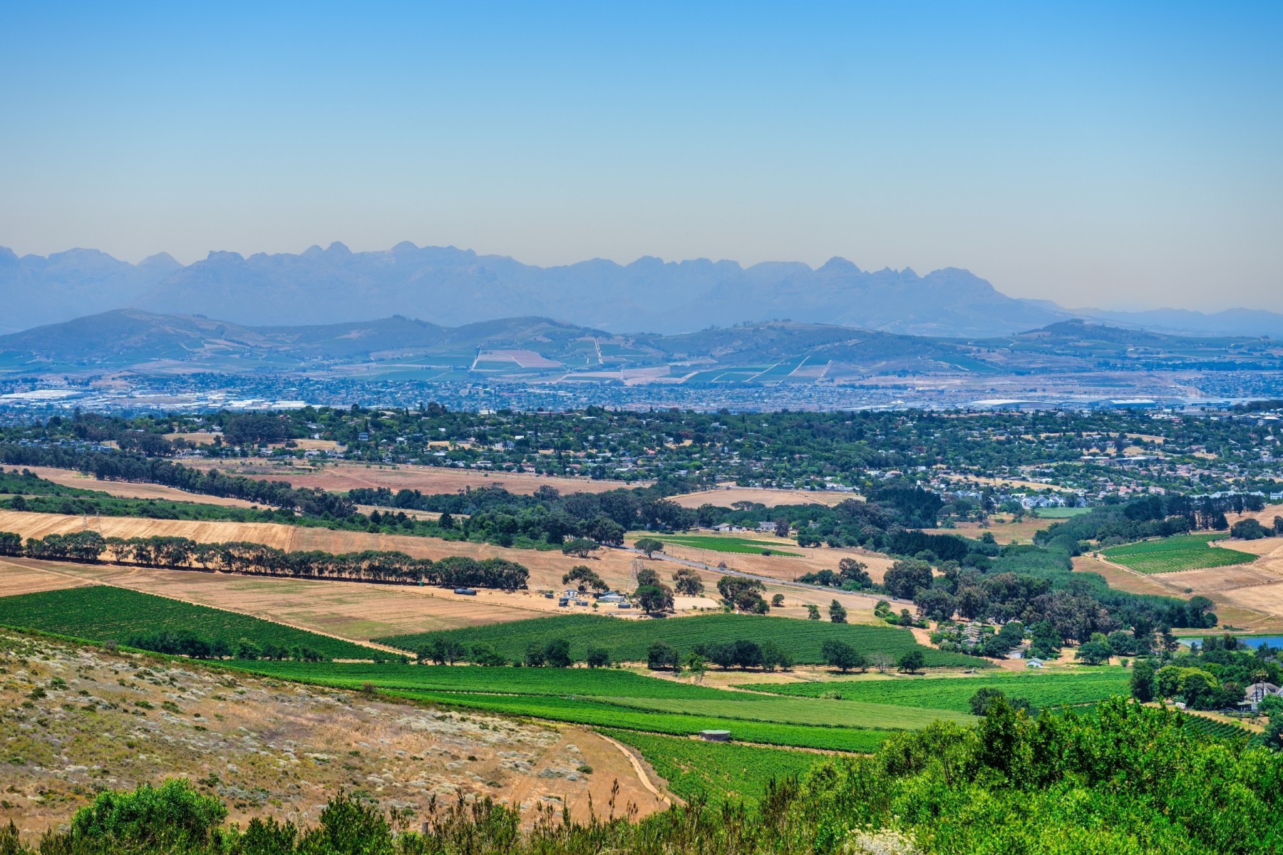 Living in Durbanville in your 20s and 30s