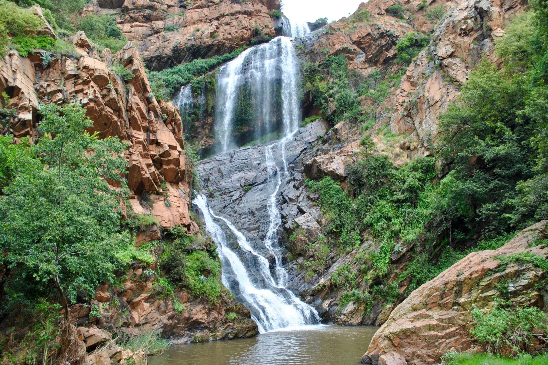 Walter Sisulu Botanical Gardens, Johannesburg