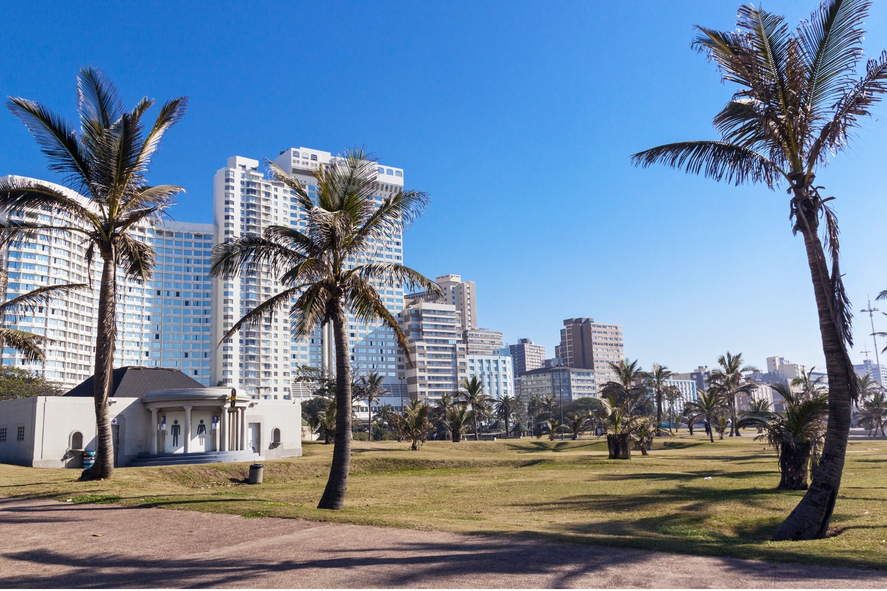 Dry winter grass in Durban