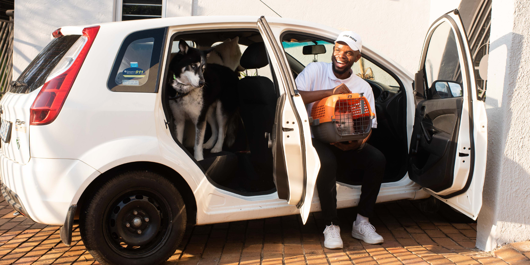Pet transport services for SA Yorkies Rescue