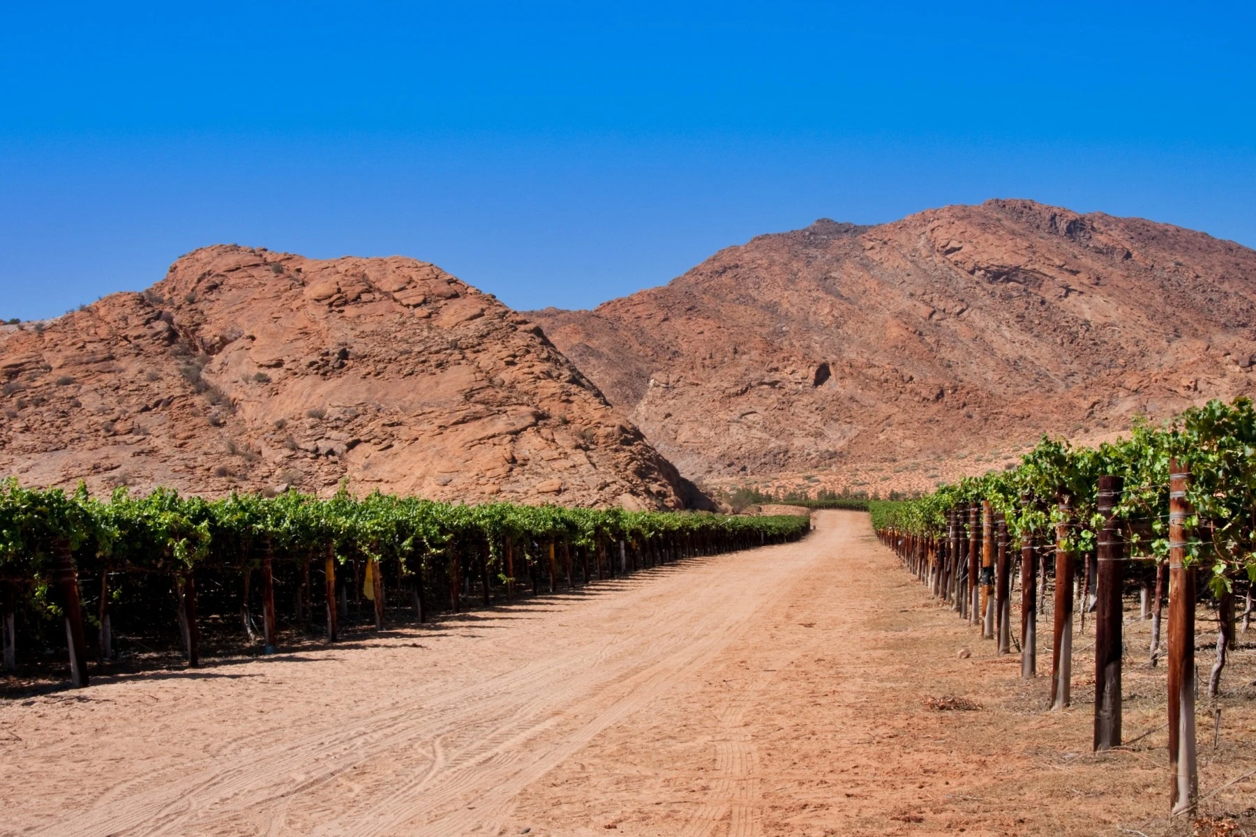 Orange River Wine Route, Northern Cape