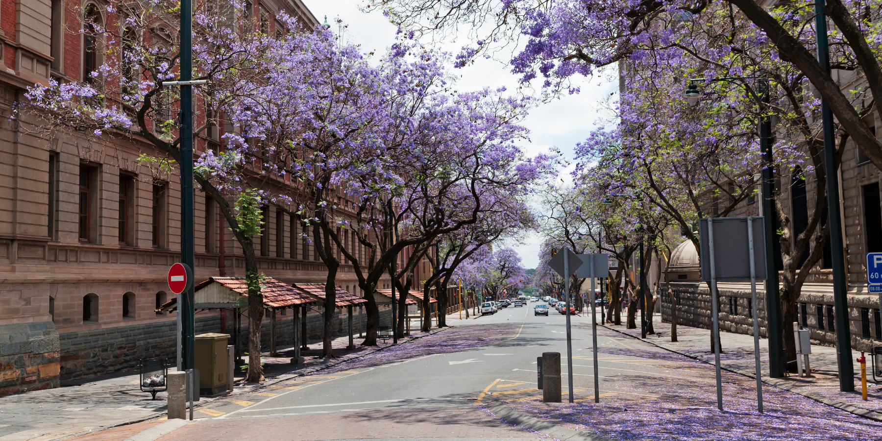 Pretoria Remote Work Destination