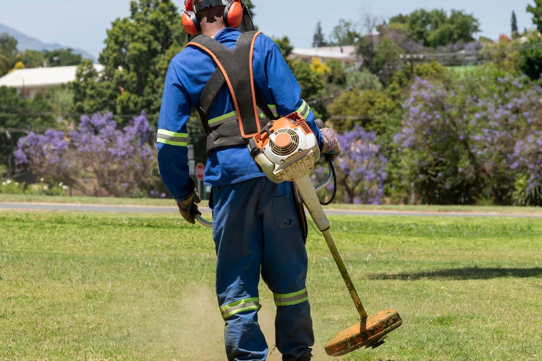 Garden maintenance costs in George, South Africa