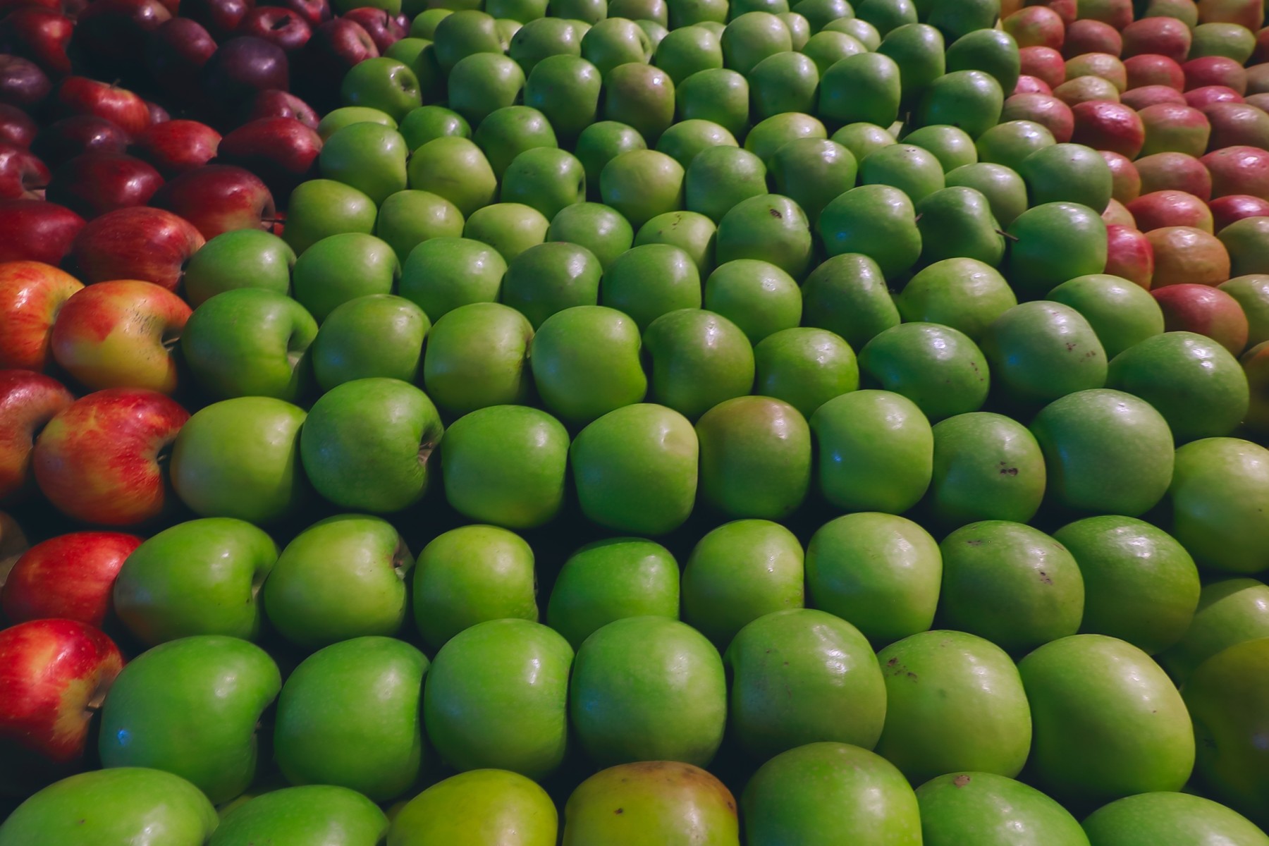 Cost of groceries in George, South Africa