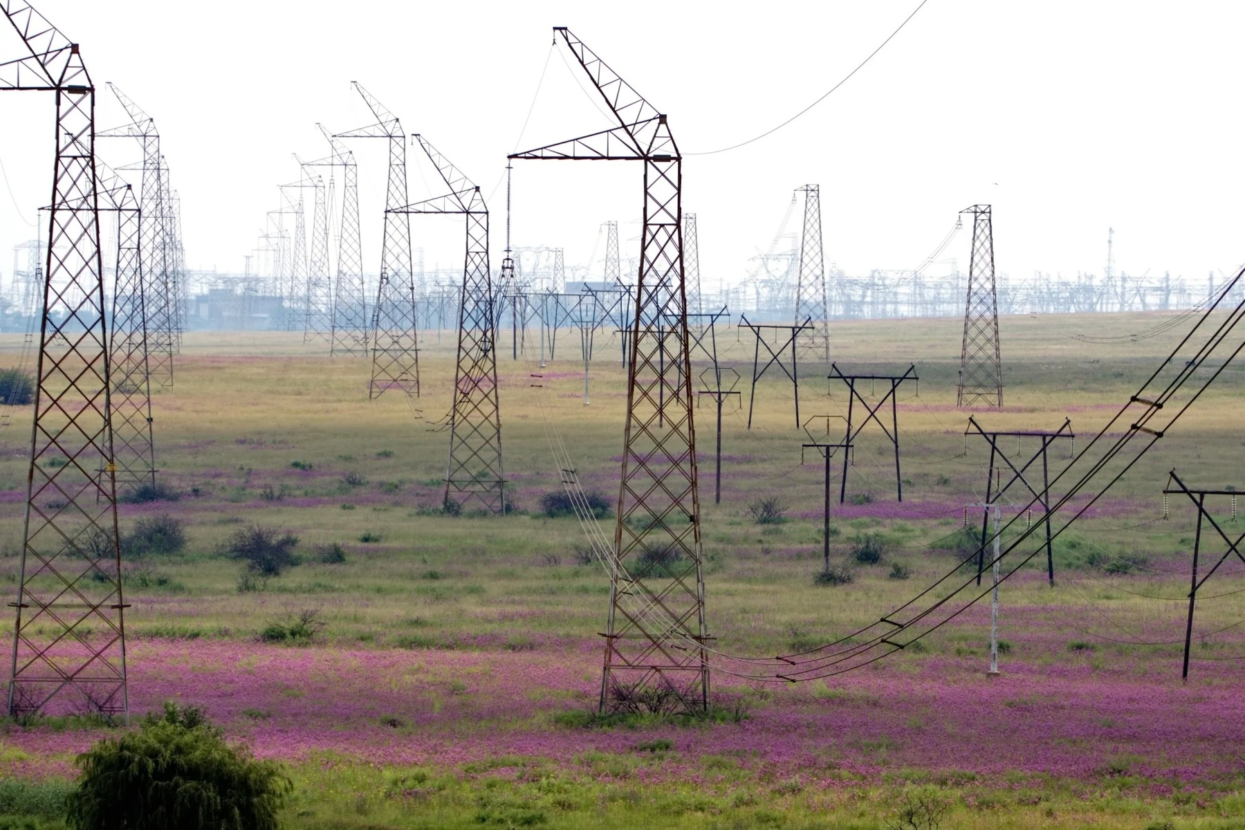Electrcity costs in Pretoria