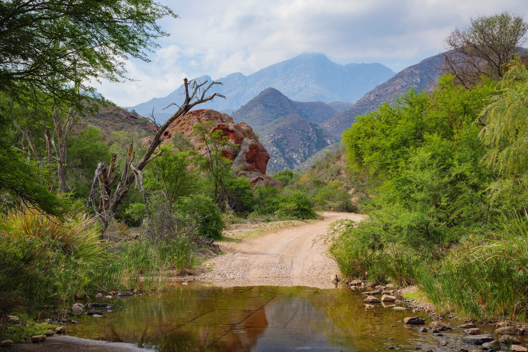 Baviaanskloof South Africa