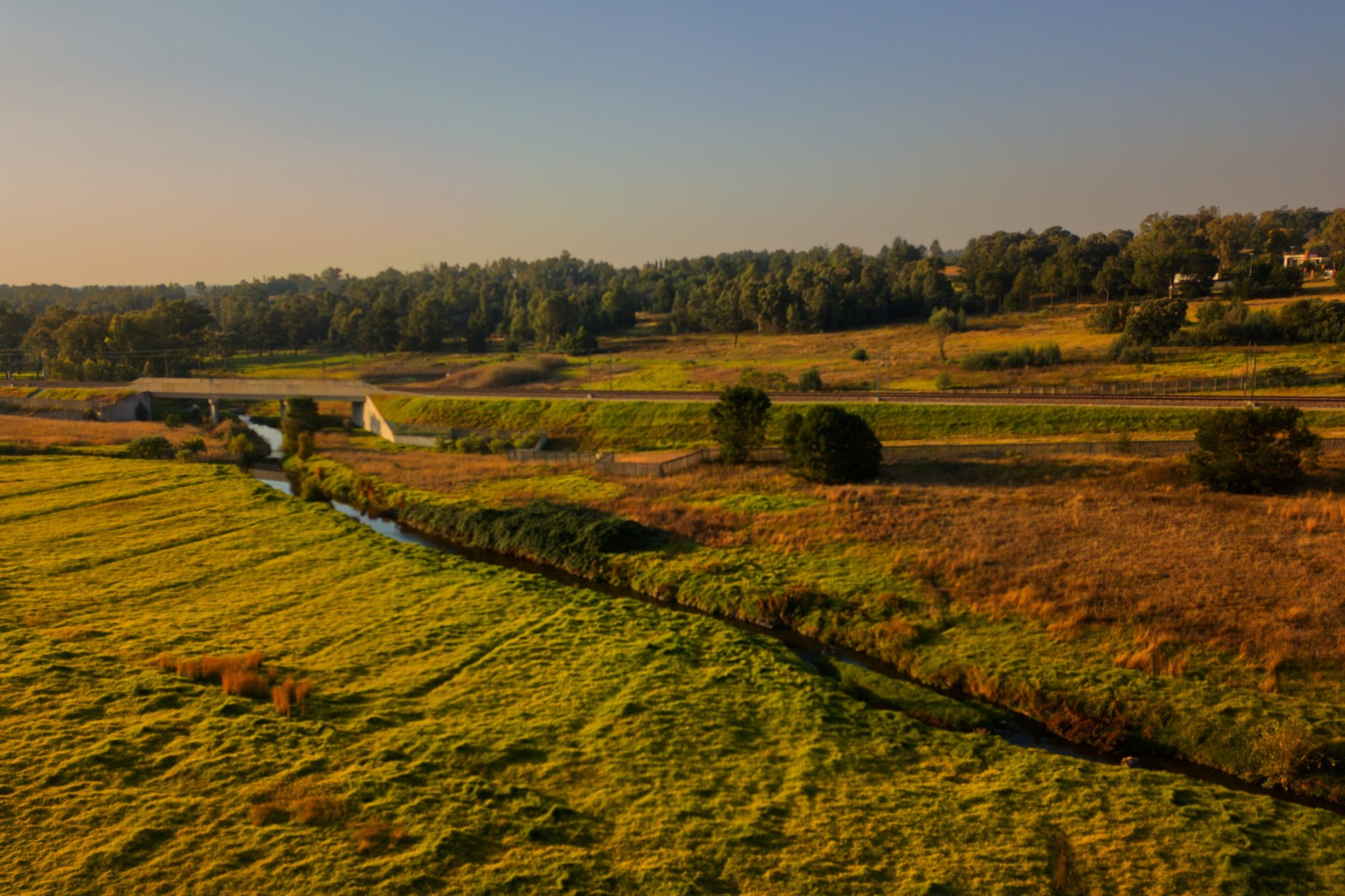 Modderfontein Reserve, Johannesburg
