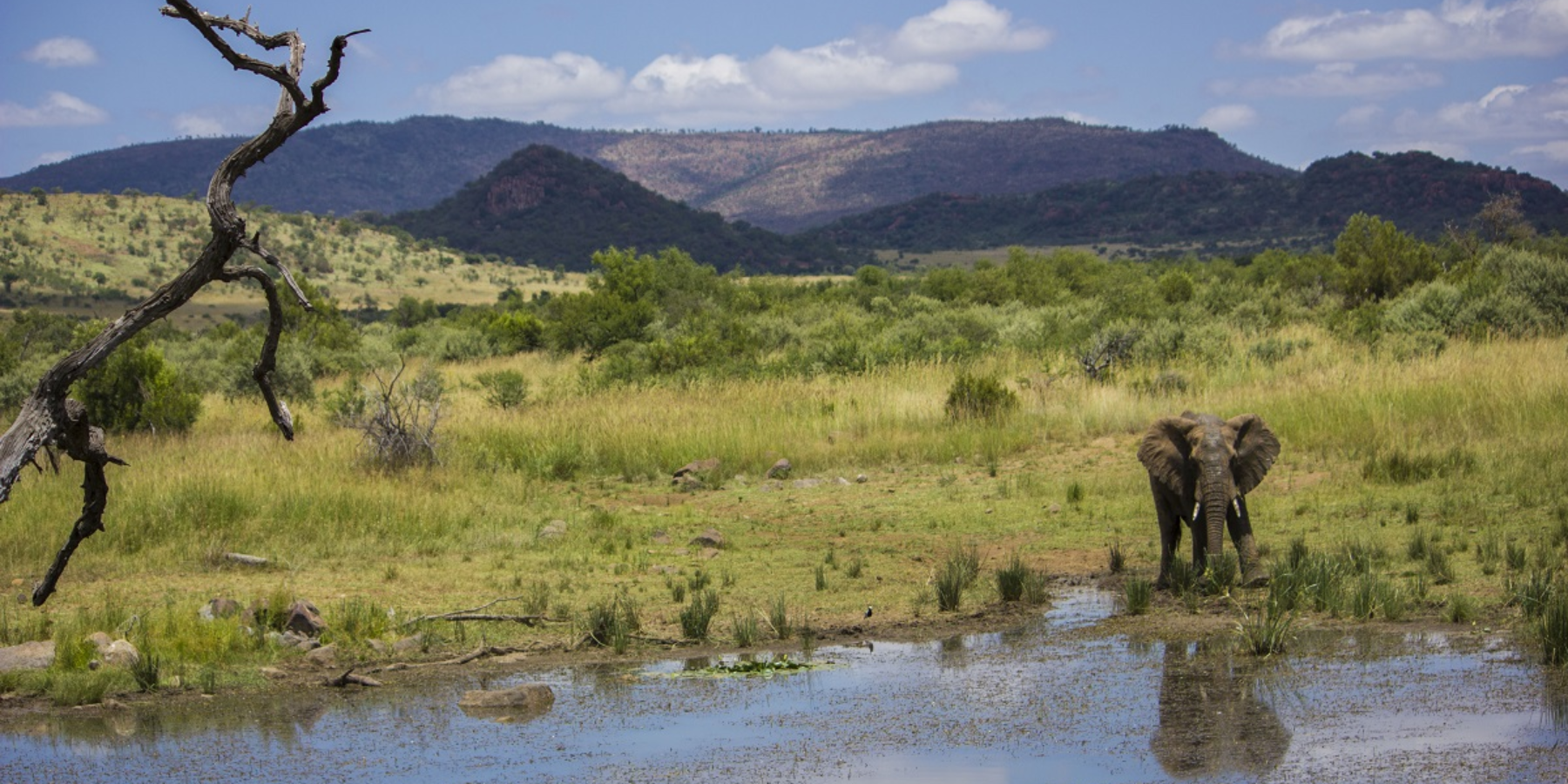 Pilanesburg National Park activities in Johannesburg