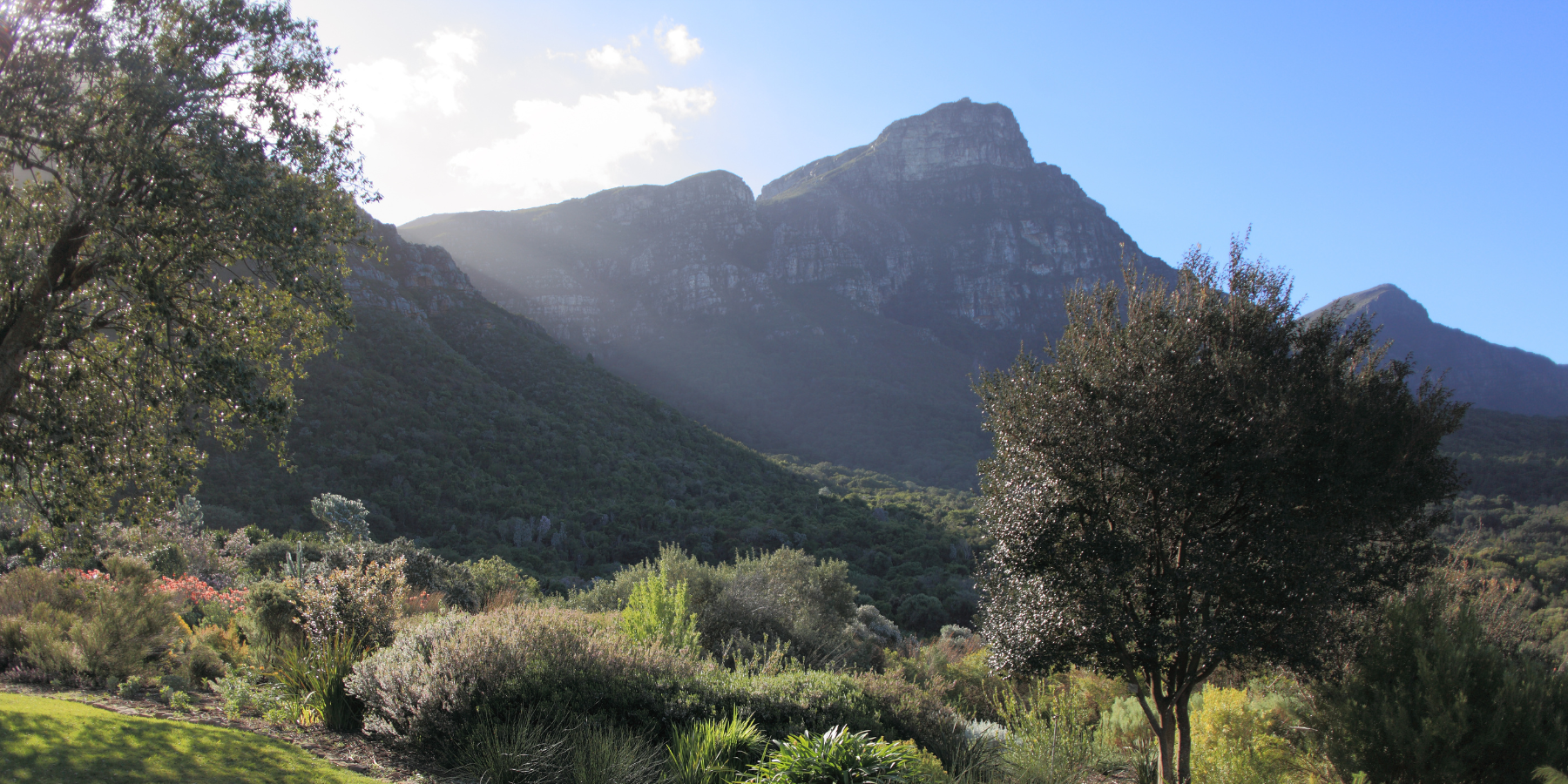 Student accommodation Newlands