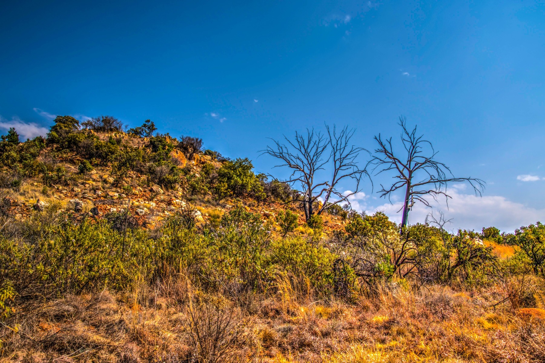 Kloofendal Nature Reserve