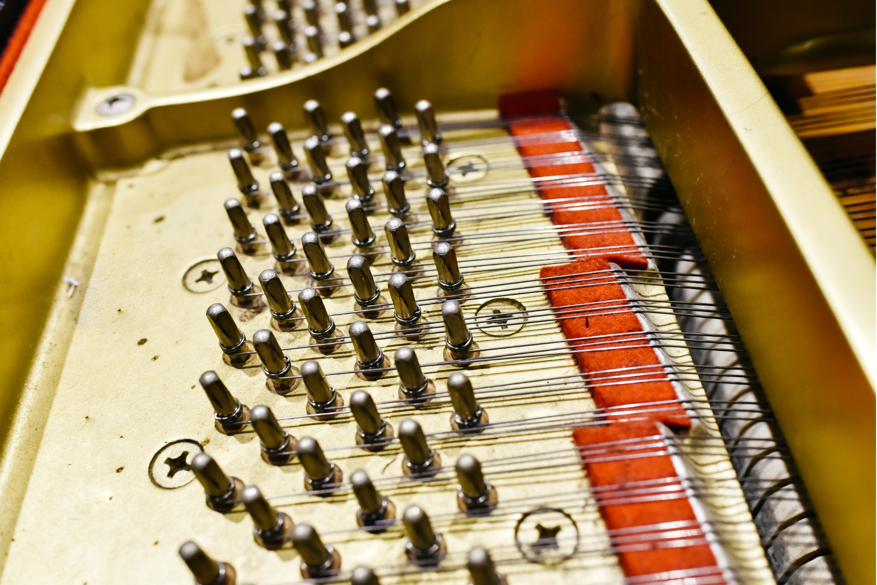 Detail of the interior of a piano with the soundboard, strings and pins.